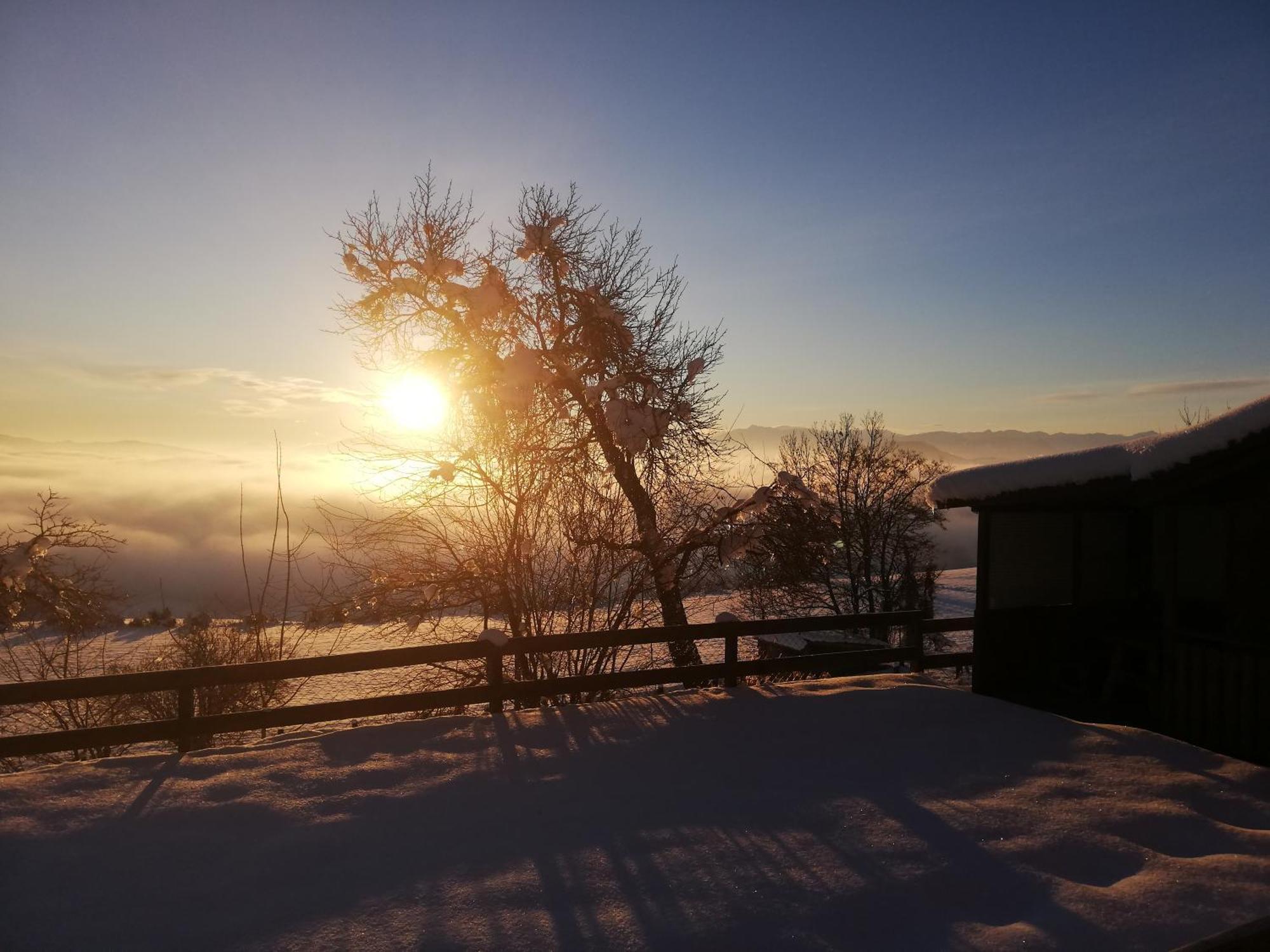 Ferienwohnung Duernberger Liebenfels ภายนอก รูปภาพ