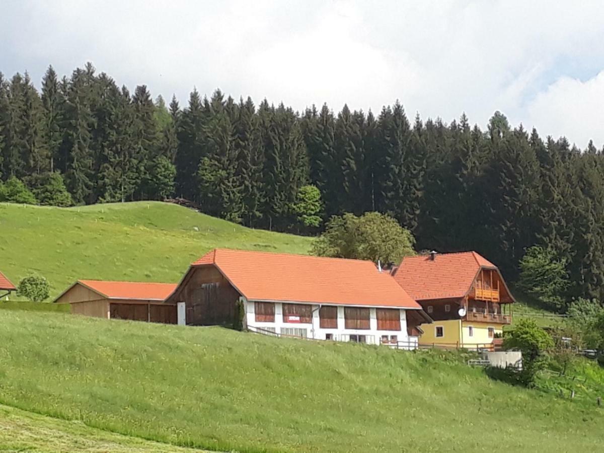 Ferienwohnung Duernberger Liebenfels ภายนอก รูปภาพ